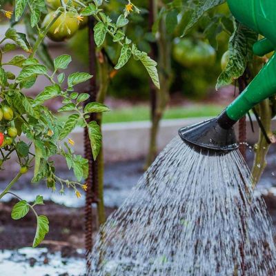Water conservation handbook available for Phoenix residents