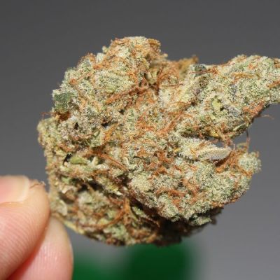 Pennsylvania cannabis fight set to heat up in 2025, top lawmaker says (Newsletter: November 12, 2024)