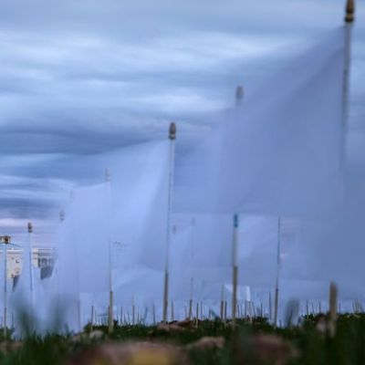 GOP Secures 60 Votes As Bill To Reopen Government Advances