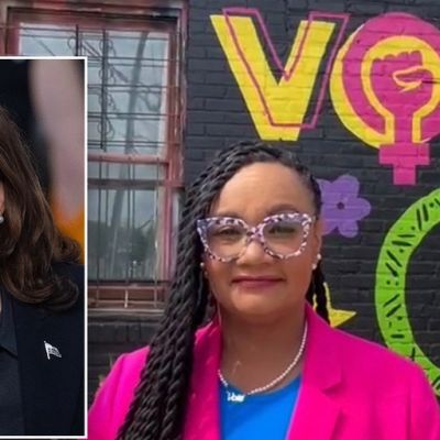 Georgia Dems chair reveals message to undecided GOP voters as Harris works to build broad base