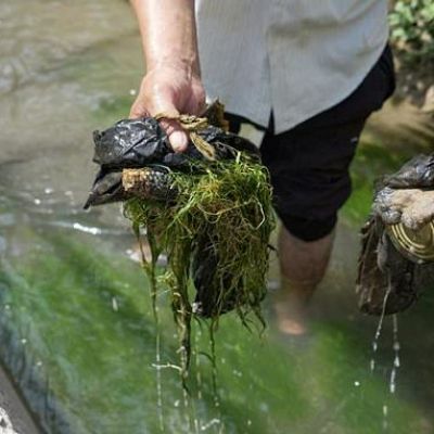 Vast reserves, but little to drink: Tajikistan’s water struggles