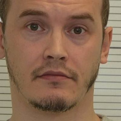 Conspiracy theorist does not present risk to public, parole hearing…