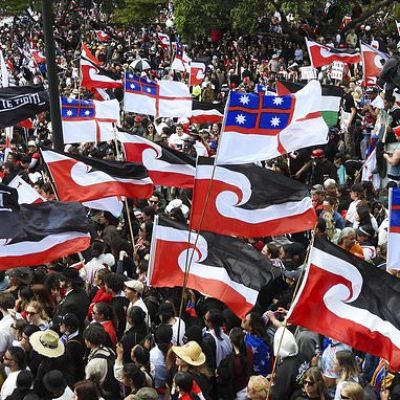 35,000 crowd New Zealand’s Parliament grounds in support of Maori…