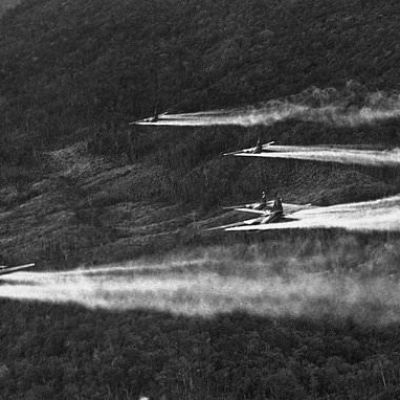 The Vietnam War ended 50 years ago, but the battle with Agent…