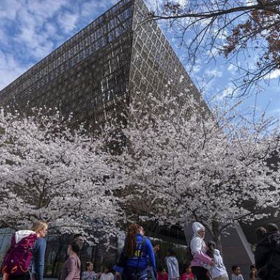 Prominent pastor notified books loaned to African American museum...