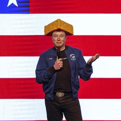 Elon Musk's pullback from politics comes after his last big...