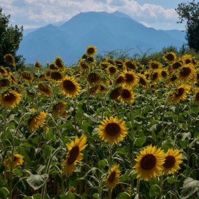 Mount Olympus, home of ancient Greek gods, is a candidate for the World Heritage List