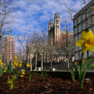 Yale College Council dives into election season  – Yale Daily News