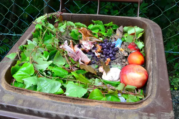 The case to ban organic waste