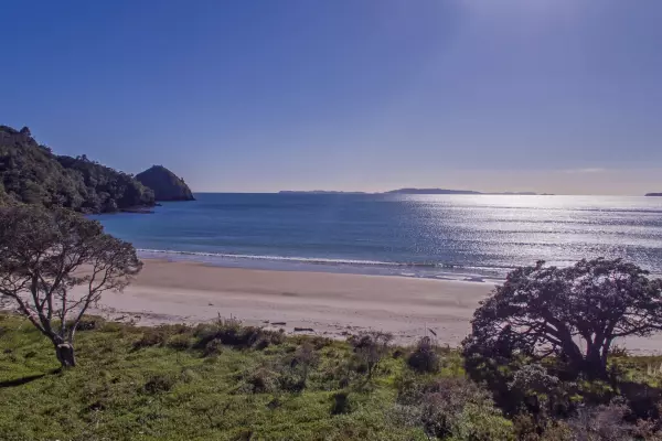 New chums sought for Kerr’s Coromandel paradise