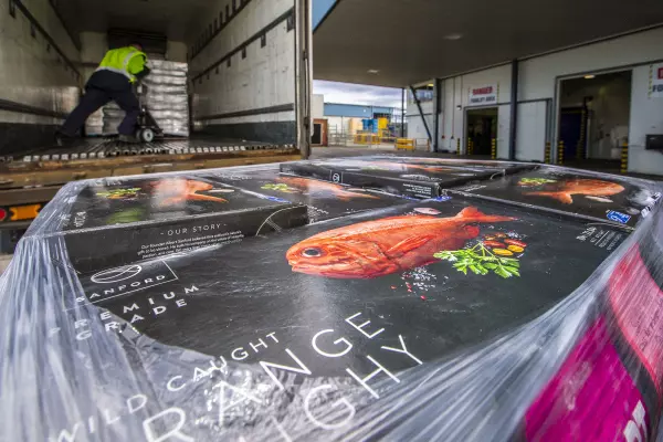 Record freight prices choking NZ exporters