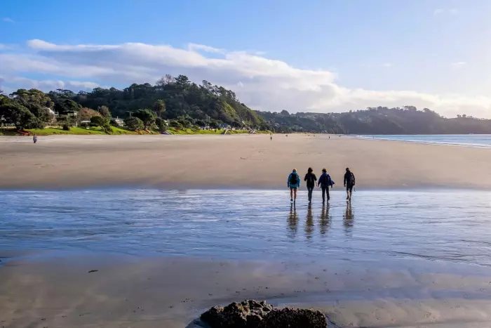 Natural high - a walk on Waiheke Island's wild side