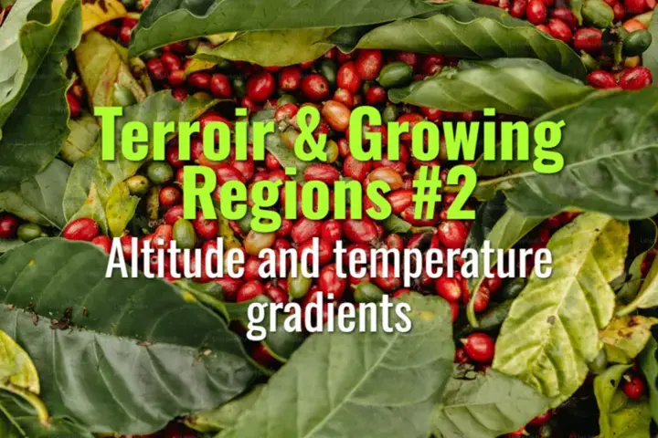 Altitude and temperature gradients
