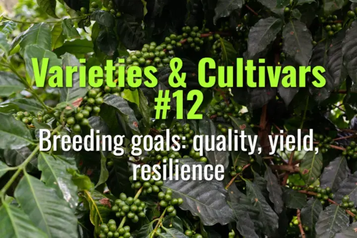 Breeding goals: quality, yield, resilience