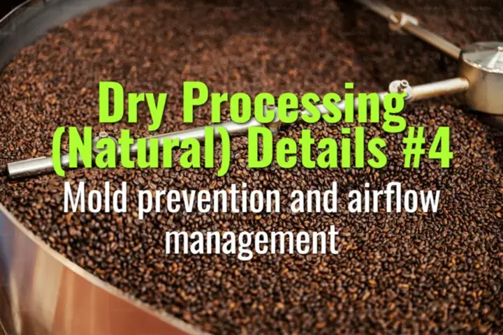 Mold prevention and airflow management
