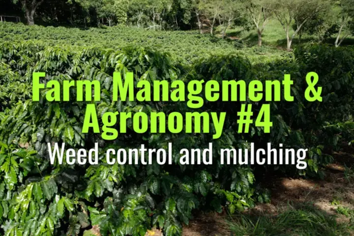 Weed control and mulching
