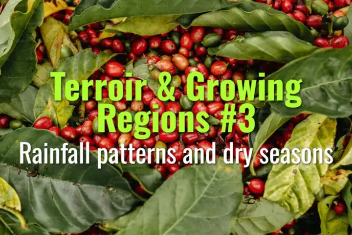 Rainfall patterns and dry seasons