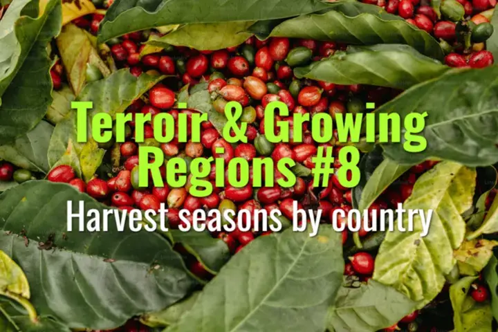 Harvest seasons by country