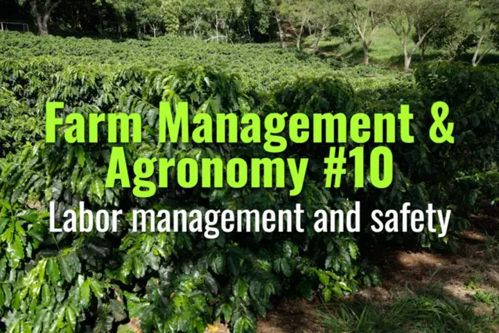 Labor management and safety