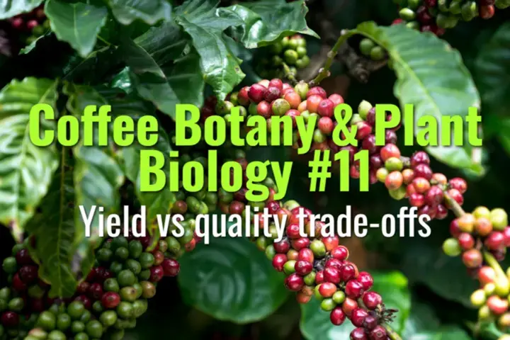 Yield vs quality trade-offs
