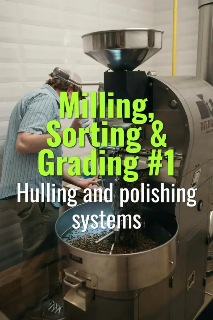 Hulling and polishing systems