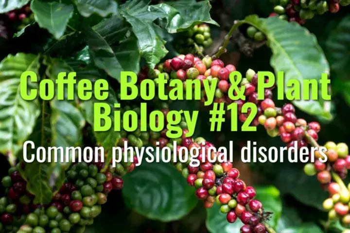 Common physiological disorders