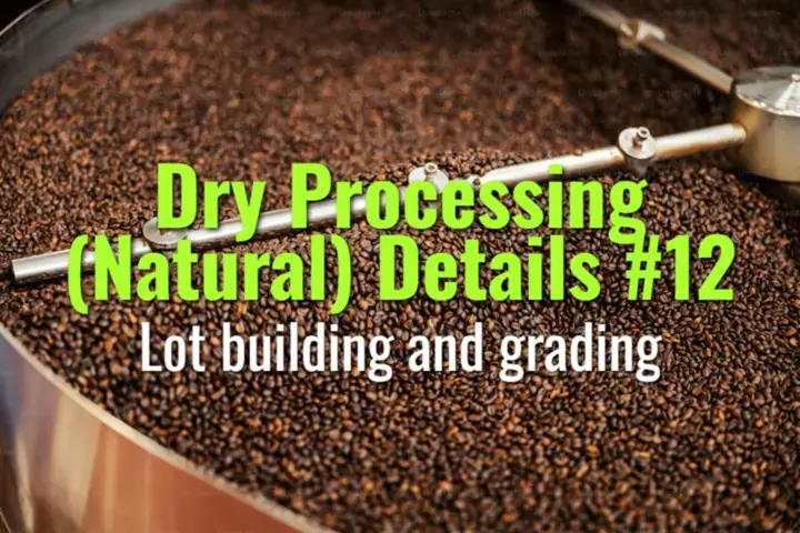 Lot building and grading