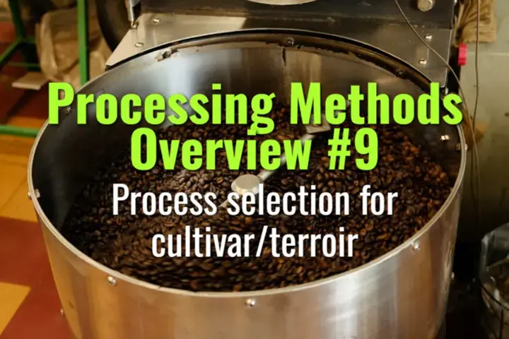 Process selection for cultivar/terroir