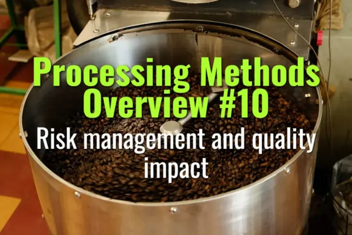 Risk management and quality impact