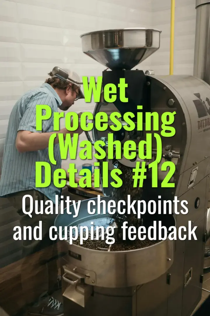 Quality checkpoints and cupping feedback