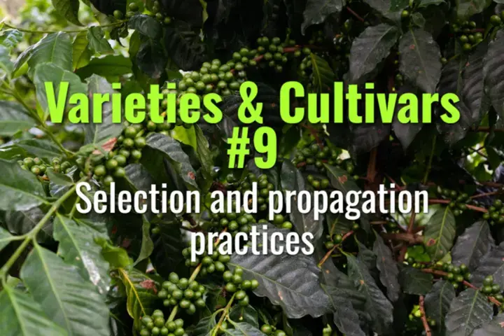 Selection and propagation practices