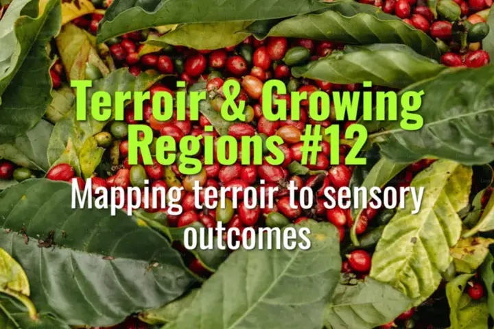 Mapping terroir to sensory outcomes