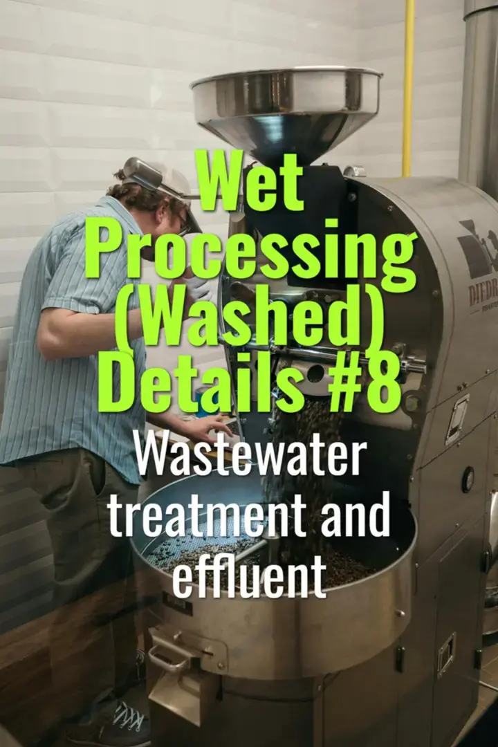 Wastewater treatment and effluent