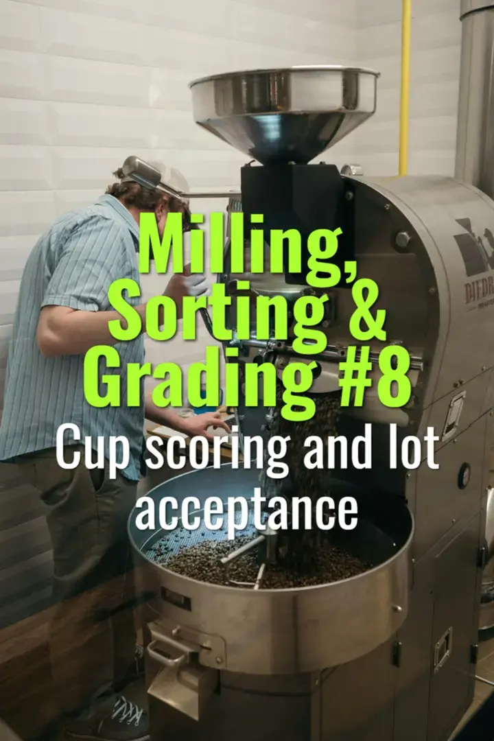 Cup scoring and lot acceptance