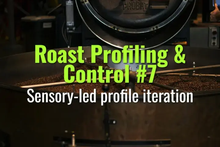Sensory-led profile iteration