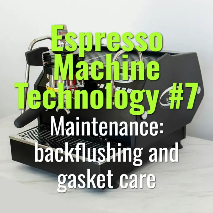 Maintenance: backflushing and gasket care
