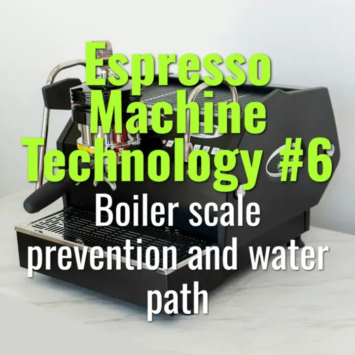 Boiler scale prevention and water path
