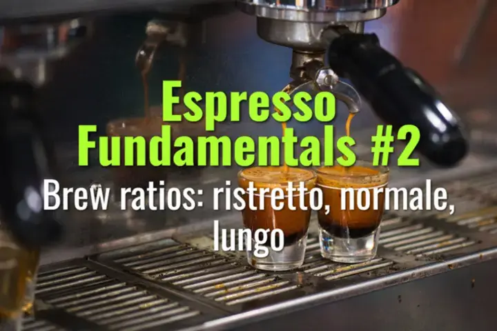 Brew ratios: ristretto, normale, lungo