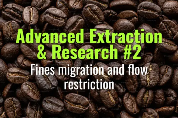 Fines migration and flow restriction