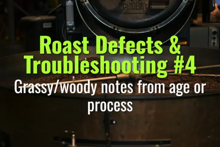 Grassy/woody notes from age or process
