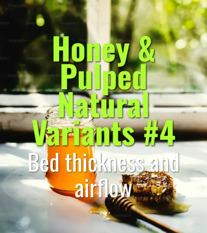 Bed thickness and airflow