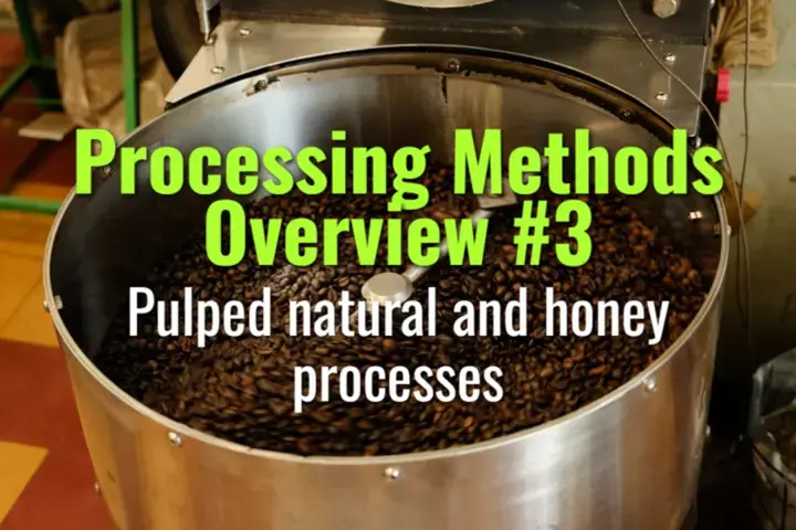 Pulped natural and honey processes