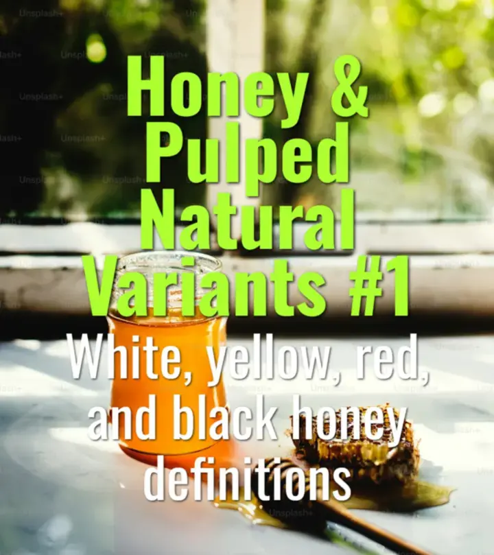 White, yellow, red, and black honey definitions
