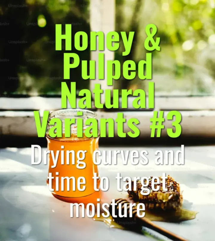 Drying curves and time to target moisture