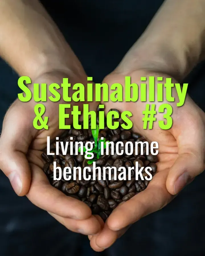 Living income benchmarks