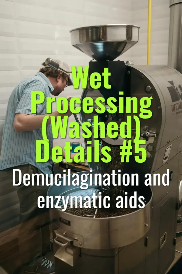 Demucilagination and enzymatic aids