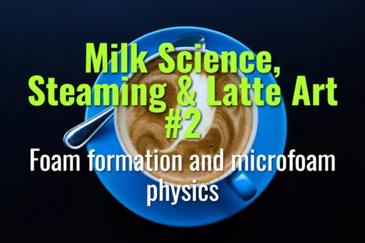 Foam formation and microfoam physics