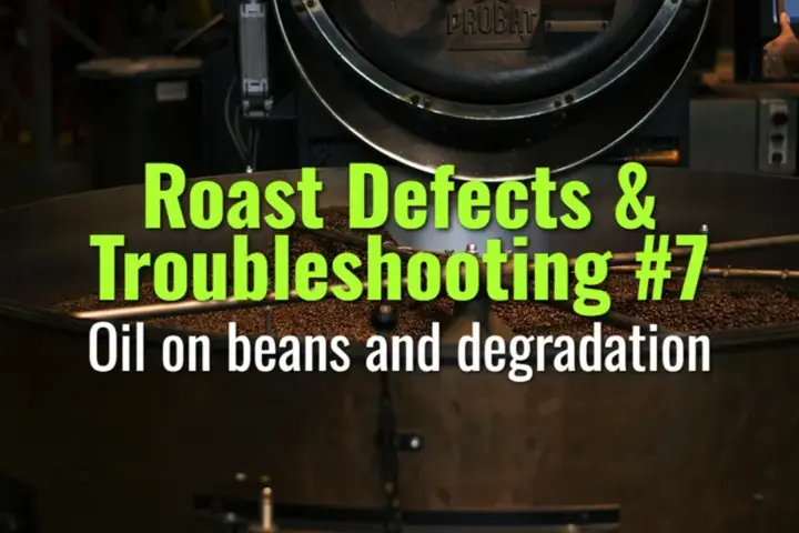 Oil on beans and degradation