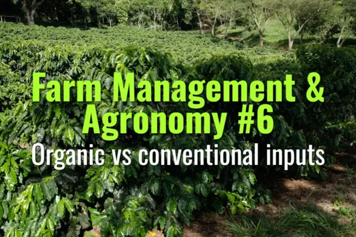 Organic vs conventional inputs