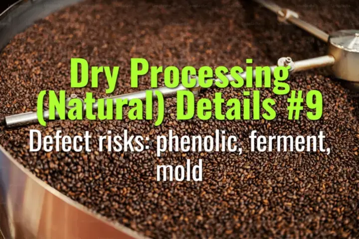 Defect risks: phenolic, ferment, mold